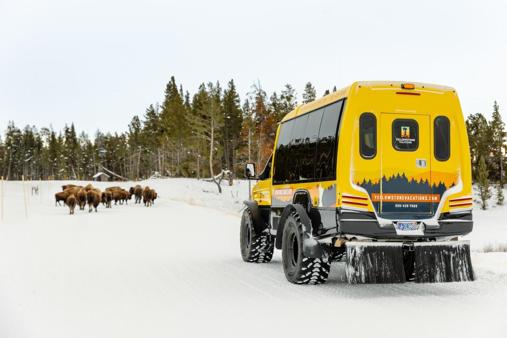 Explorer Cabins At Yellowstone غرب يلوستون المظهر الخارجي الصورة