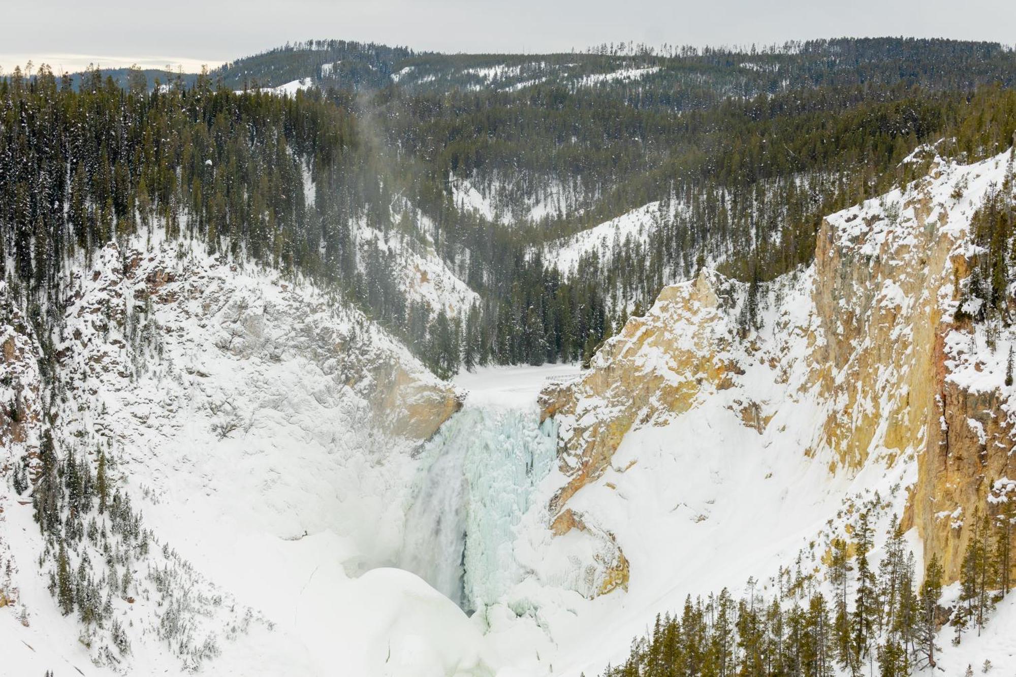 Explorer Cabins At Yellowstone غرب يلوستون المظهر الخارجي الصورة